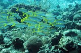 Curacao 04-12 573
